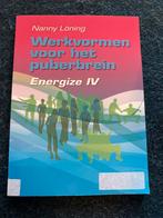 Werkvormen voor het puberbrein - Nanny Löning, Boeken, Ophalen of Verzenden, Gelezen, Overige onderwerpen