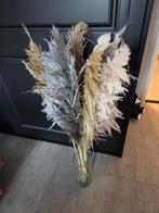 Droogbloemen, Ophalen of Verzenden, Nieuw