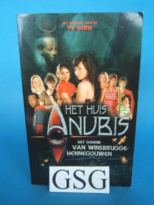 Het geheim van Winsbrugge-Hennegouwen nr. BOHA00001030-02, Boeken, Kinderboeken | Jeugd | 10 tot 12 jaar, Zo goed als nieuw, Ophalen