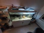 Eheim aquarium, Ophalen, Nieuw, Leeg aquarium