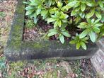 Betonnen Tuinborder / Tuinafscheiding, Tuin en Terras, Ophalen, Gebruikt, Minder dan 25 cm, Border
