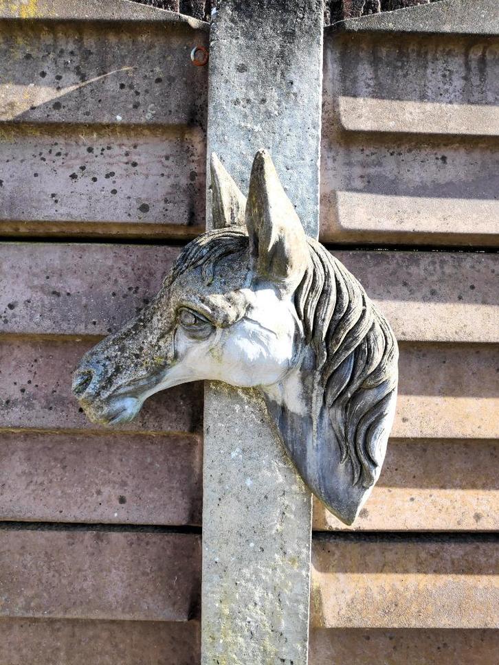 Paardenhoofd wandbeeld, Tuin en Terras, Tuinbeelden, Dierenbeeld, Beton, Ophalen