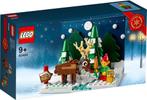 🎁 Lego Specials 40484 - Winterscene 🎁, Nieuw, Ophalen of Verzenden, Lego