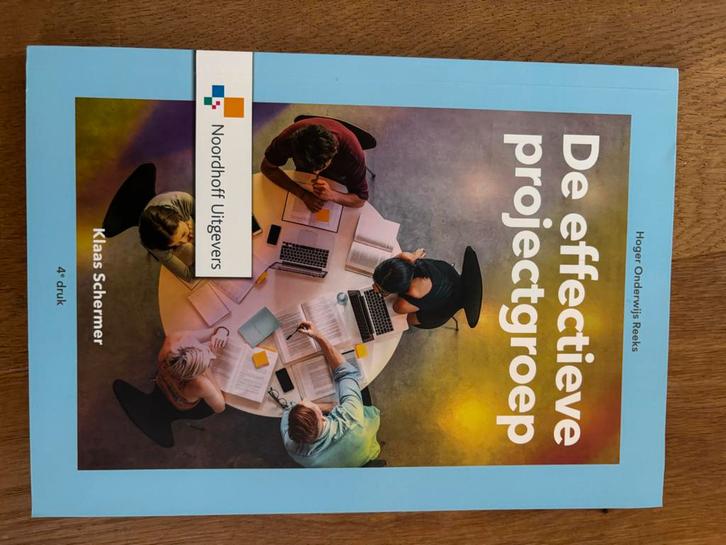 De effectieve projectgroep - Klaas Schermer, Boeken, Studieboeken en Cursussen, Nieuw, HBO, Gamma, Ophalen of Verzenden