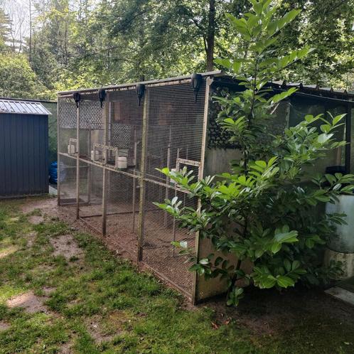 Veelzijdige Aluminium Volière, Dieren en Toebehoren, Vogels | Hokken en Kooien, Volière, Aluminium, Ophalen