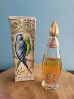 Bourjois parfum fles antieke  boek etalahe kastje poeder, Ophalen of Verzenden, Zo goed als nieuw, Parfumfles