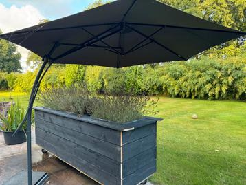 Zweefparasol met plantenbakvoet beschikbaar voor biedingen