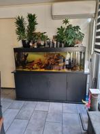 Vol glas Aquarium 1.60 x 50 x 50, Dieren en Toebehoren, Vissen | Aquaria en Toebehoren, Ophalen of Verzenden, Zo goed als nieuw