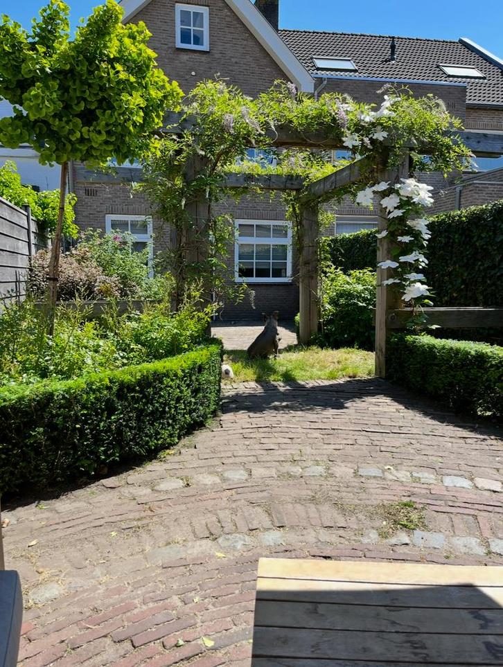 Gezocht Tuinman gezocht, Diensten en Vakmensen, Schoonmakers en Glazenwassers