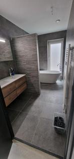 Badkamer Verbouwen? Toilet renovatie ? Jarenlange ervaring!!