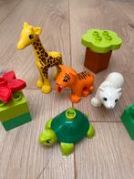 Duplo Jonge Dieren Set 10801, Ophalen of Verzenden, Gebruikt, Overige merken