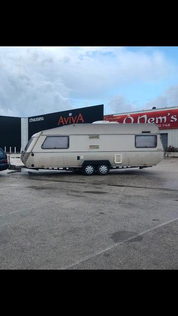 Kip 60 TLB tandemasser, airco, ringverwarming, PLOFKIP! beschikbaar voor biedingen