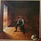Lp Don McLean Homeless Brother, US 1974., Ophalen of Verzenden, Gebruikt, Poprock