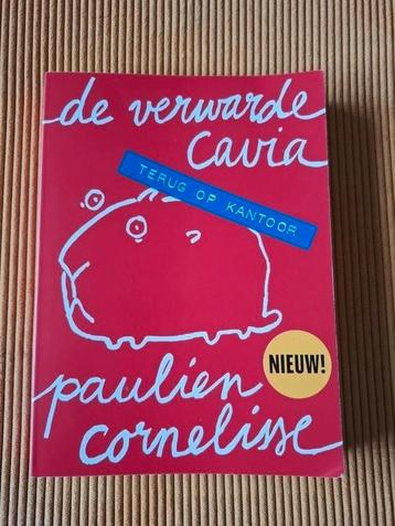De verwarde cavia terug op kantoor beschikbaar voor biedingen