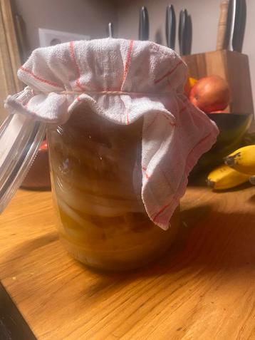Biologische scoby voor kombucha beschikbaar voor biedingen