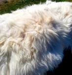 Schapenvacht / Schapenvachten - (Partij / NIEUW / voordelig), Ophalen of Verzenden, Nieuw