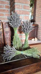 Bos lavendel (geplukt aug. '25), Ophalen of Verzenden, Zo goed als nieuw