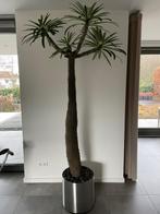 Bloempot, RvS geborsteld alu voor binnen, verzonken wielen, Tuin en Terras, Bloempotten, Ophalen, Overige materialen, Gebruikt