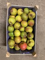 BREDERODE onbespoten stoofperen, Ophalen