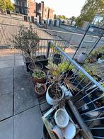 Diverse bloembakken etc, Tuin en Terras, Bloembakken en Plantenbakken, Ophalen, Gebruikt, Rond, Minder dan 30 cm