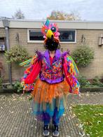 4 complete vogelpakken incl hoed! Carnavalspak, Ophalen of Verzenden, Zo goed als nieuw, Maat 42/44 (L), Carnaval
