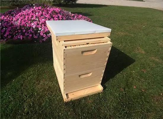Langstroth kast hout, Dieren en Toebehoren, Insecten en Spinnen