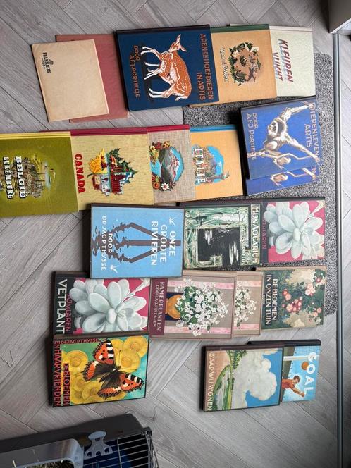Verkade boeken dik trom jac p thysse aj laren afj portielje, Boeken, Partijen en Verzamelingen, Zo goed als nieuw, Ophalen of Verzenden