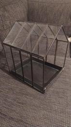 Mini Glazen Kweekkas - Decoratief, Ophalen of Verzenden