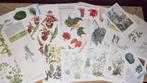 Vintage botanische plaatjes en papieren junk journal 1, Hobby en Vrije tijd, Ophalen of Verzenden