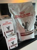 Royal Canin Gastro Intestinal kat NIEUW, Ophalen, Kat