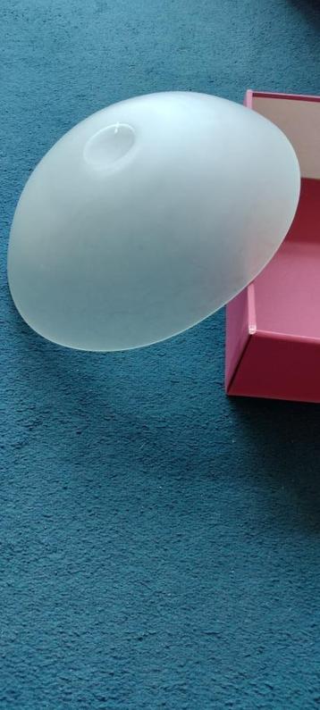 Grote glazen schaal beschikbaar voor biedingen