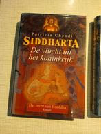Siddhartha - Patricia Chendi 3 delen, Boeken, Ophalen of Verzenden, Gelezen