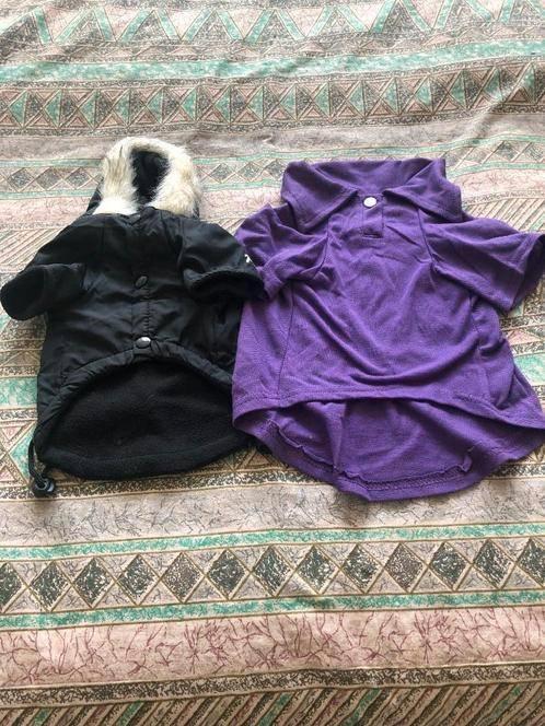 leuke nieuwe voor kleine honden kleding, Dieren en Toebehoren, Hondenkleding, Nieuw, Hondenjas, Ophalen of Verzenden