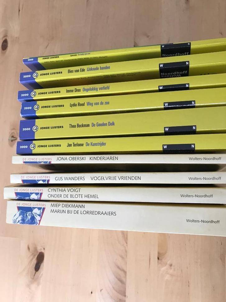 Jonge Lijsters (13-16 jaar), Boeken, Literatuur, Zo goed als nieuw, Ophalen of Verzenden