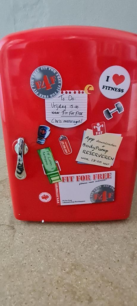 mini koeler koelkast fit for free, Witgoed en Apparatuur, Koelkasten en IJskasten, Zo goed als nieuw, Zonder vriesvak, Minder dan 75 liter