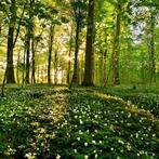 Te koop gevraagd, Ophalen of Verzenden, Zo goed als nieuw