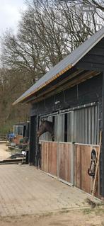 Staldeuren te koop, Ophalen, Gebruikt, Overige soorten