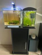 2 aqauria inclusief kast, Ophalen, Zo goed als nieuw, Leeg aquarium
