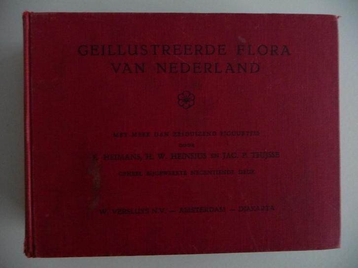 GEILLUSTREERDE FLORA VAN NEDERLAND - uitgave 1956, 19de druk, Boeken, Natuur, Bloemen, Planten en Bomen, Ophalen of Verzenden