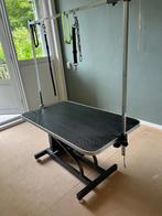 Te koop een hydraulische trimtafel, Ophalen, Gebruikt