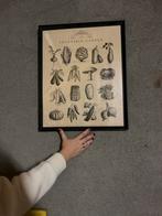 IKEA Knöppäng Schilderij, Ophalen, Minder dan 50 cm, 50 tot 75 cm, Zo goed als nieuw