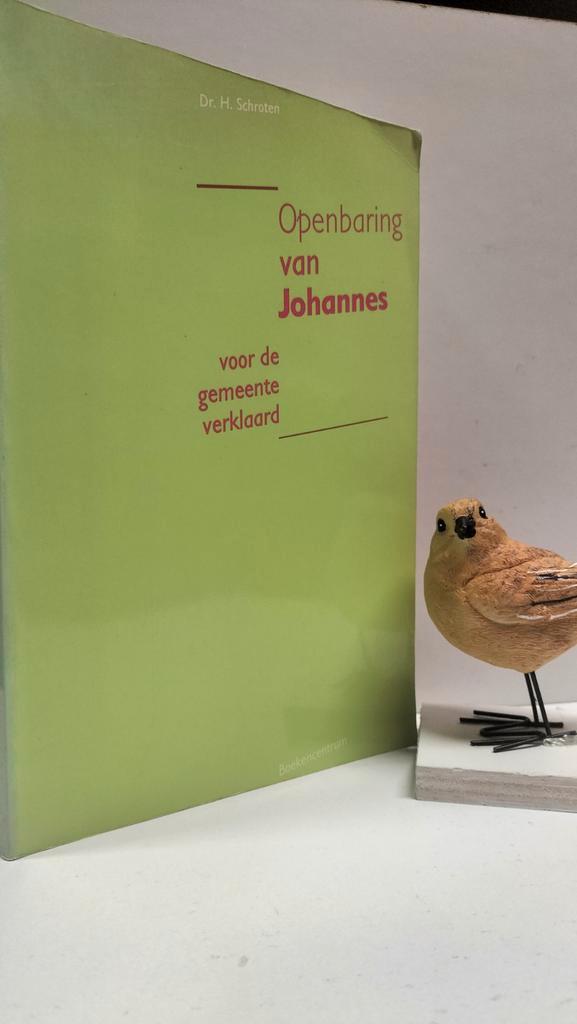 Schroten, Dr. H.; Openbaring van Johannes, Boeken, Godsdienst en Theologie, Gelezen, Christendom | Protestants, Ophalen of Verzenden