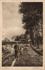 Veluwe, Jonge Boer met Schapen (1910s) Ansichtkaart, Ophalen of Verzenden, Voor 1920, Ongelopen, Gelderland