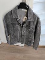 Mooie grijze spijkerjas van merkje redial, Kleding | Dames, Maat 38/40 (M), Redial, Nieuw, Ophalen of Verzenden