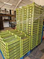 Kunststof kratten, Ophalen of Verzenden