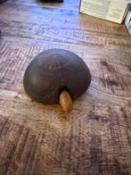 Antiek Schildpad Ornament, Antiek en Kunst, Ophalen of Verzenden