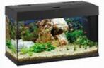 showmodel aquarium ferplast dubai 80, Ophalen, Nieuw, Verlichting of Verwarming