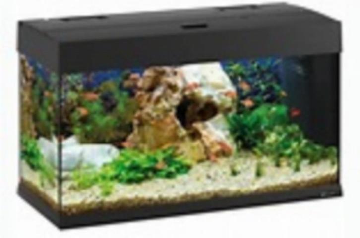 showmodel aquarium ferplast dubai 80, Dieren en Toebehoren, Vissen | Aquaria en Toebehoren, Nieuw, Verlichting of Verwarming, Ophalen