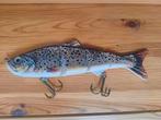 25cm forel, Watersport en Boten, Hengelsport | Roofvissen, Ophalen of Verzenden, Zo goed als nieuw, Overige typen