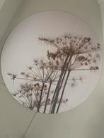 Muurcirel Bereklauw, Huis en Inrichting, Woonaccessoires | Schilderijen, Tekeningen en Foto's, Ophalen, Zo goed als nieuw, Print
